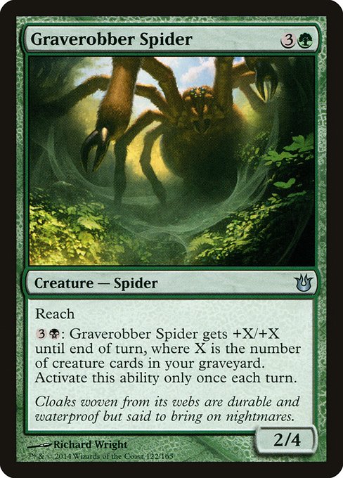 Graverobber Spider front