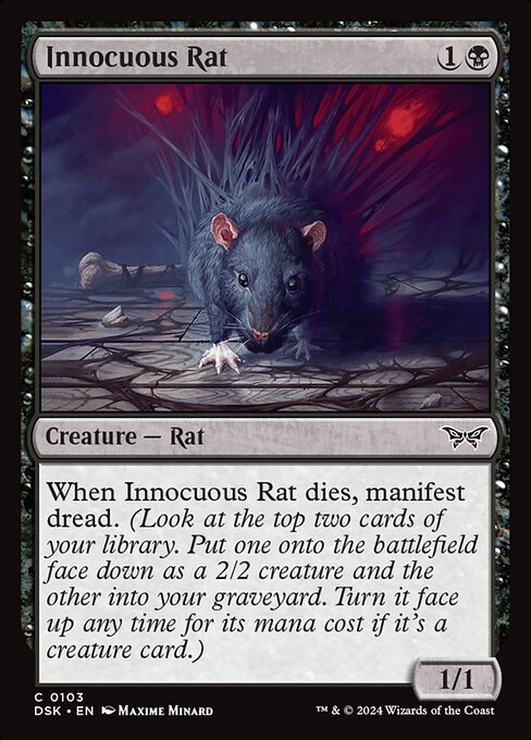 Innocuous Rat front