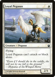 Loyal Pegasus front