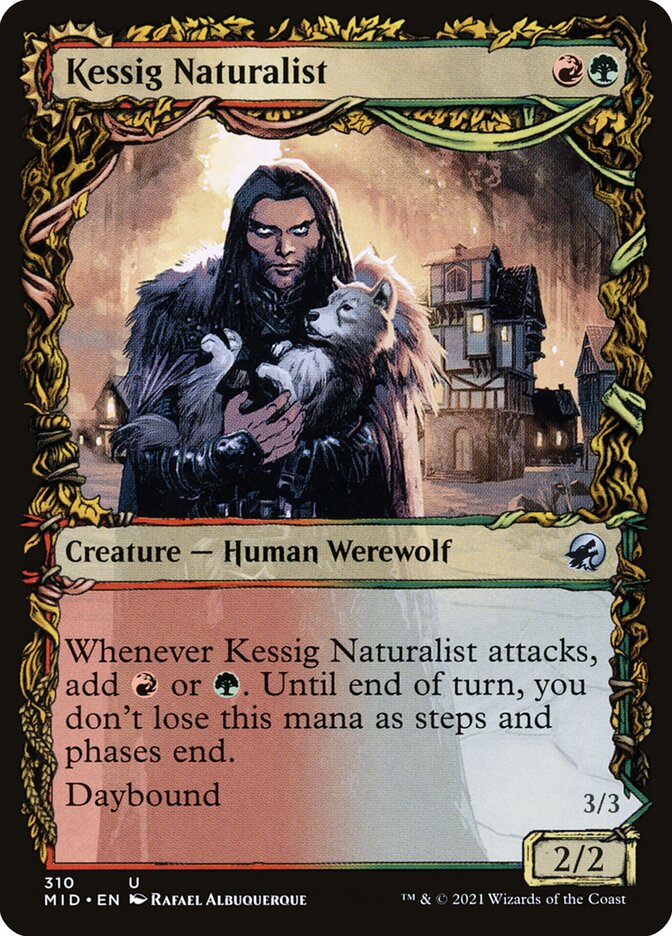 Kessig Naturalist (DFC) (MID) 310