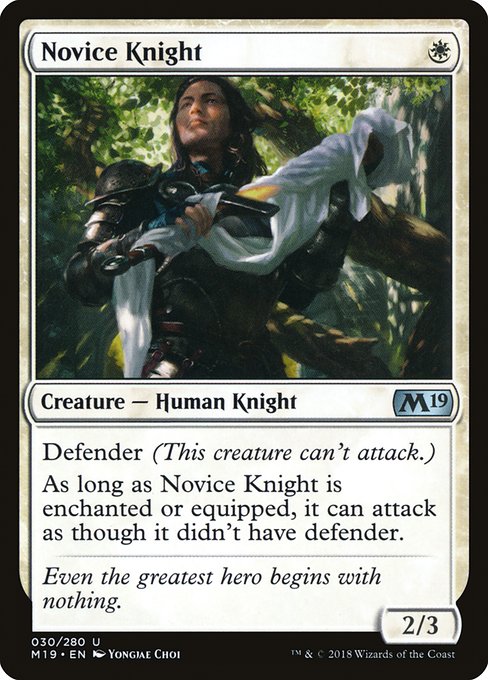 Novice Knight front