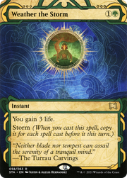 Weather the Storm (STA) 58