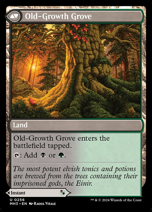 Revitalizing Repast // Old-Growth Grove (Back)