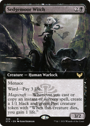Sedgemoor Witch (STX) 306