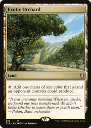 Exotic Orchard (CLB) 893