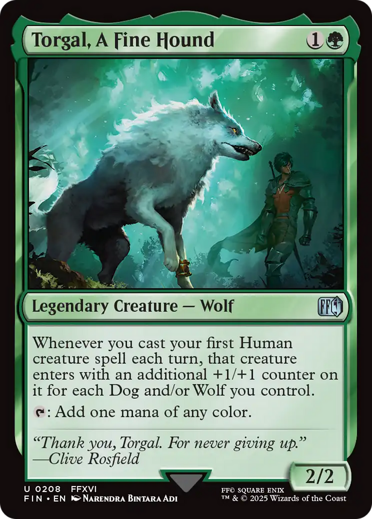 Torgal, A Fine Hound (FIN) 208