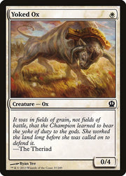 Yoked Ox front
