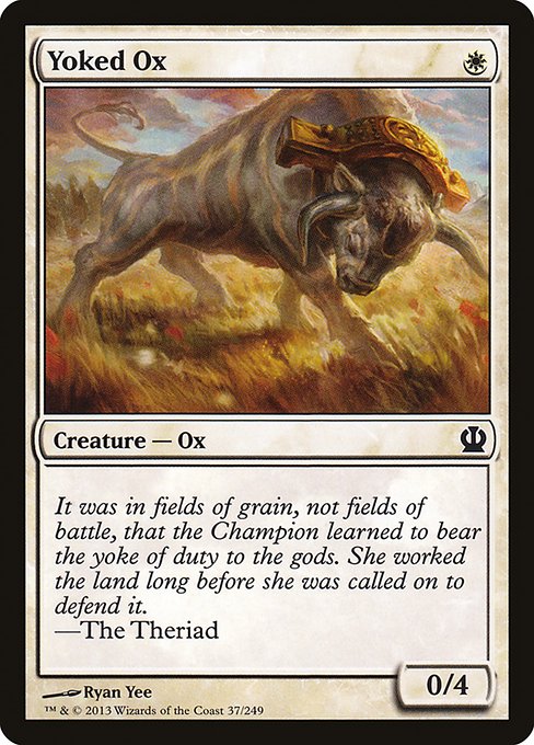 Yoked Ox front