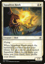 Squadron Hawk, A25, 34, NM