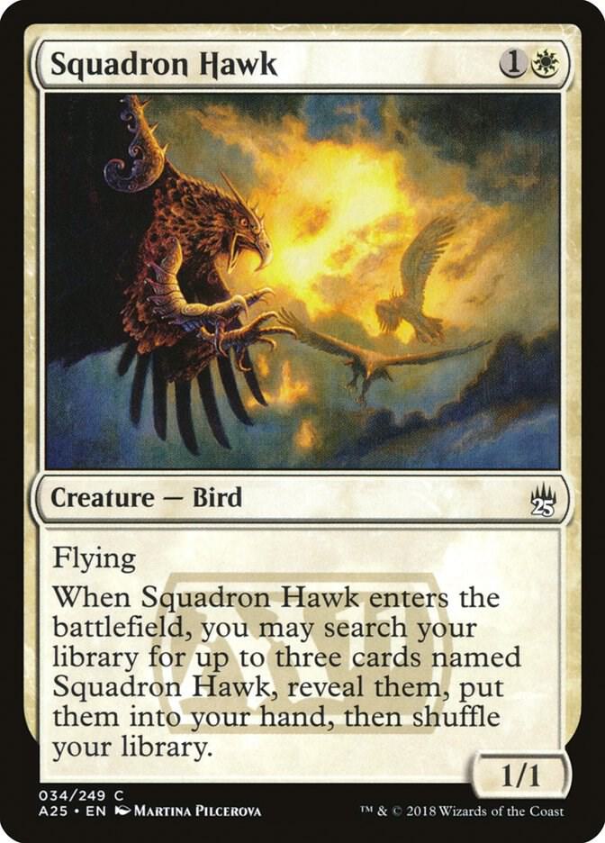 Squadron Hawk, A25, 34, NM