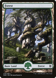 Forest front