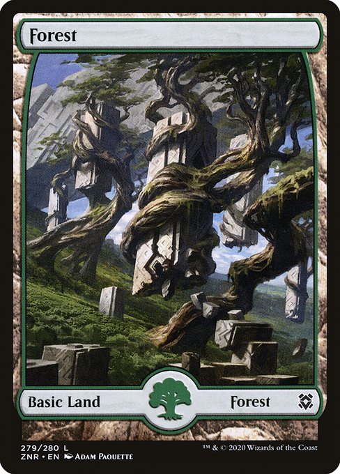 Forest front