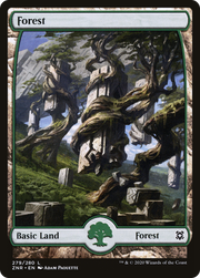 Forest (ZNR) 279