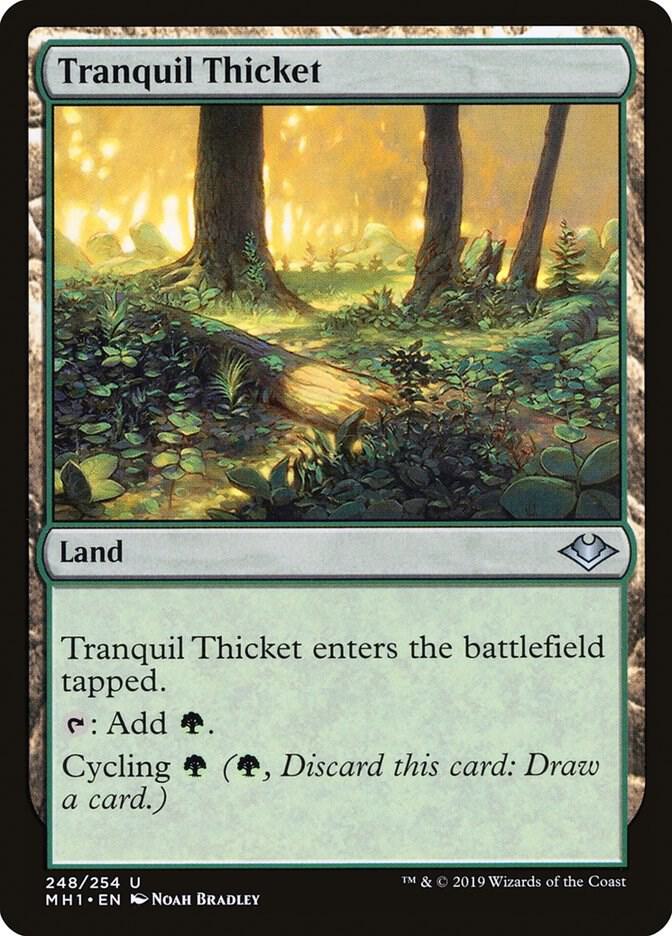 Tranquil Thicket, MH1, 248, NM, Foil