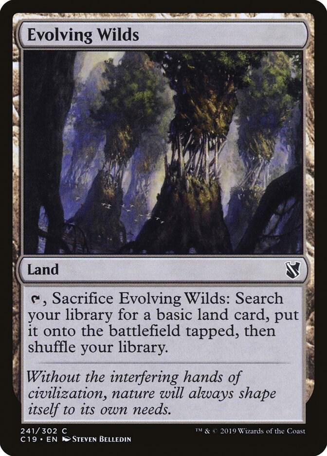 Evolving Wilds, C19, 241, NM