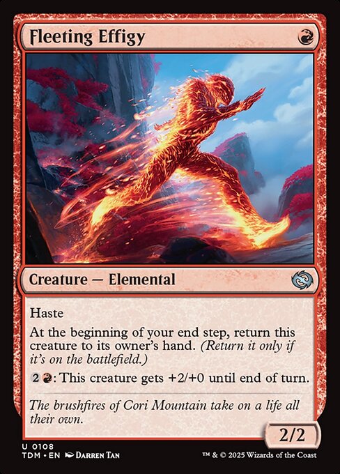 Fleeting Effigy front