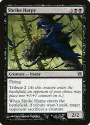 Shrike Harpy front