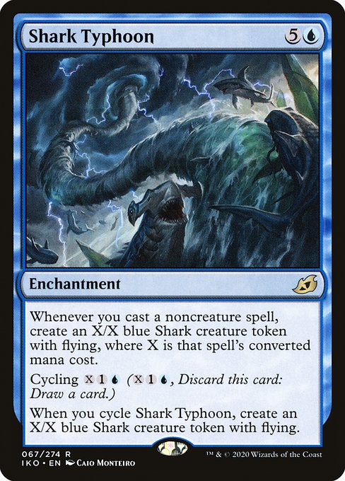 Shark Typhoon front