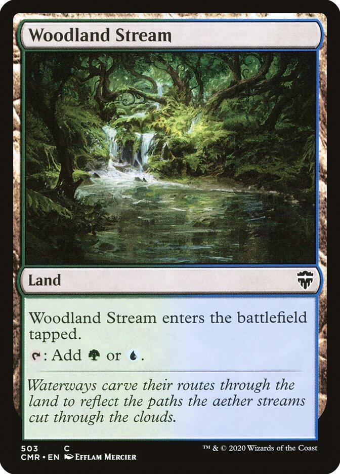 Woodland Stream, CMR, 503, NM