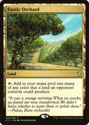 Exotic Orchard (C17) 249