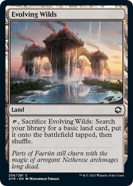 Evolving Wilds, AFR, 256, NM, Foil