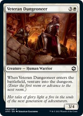 Veteran Dungeoneer, AFR, 40, NM