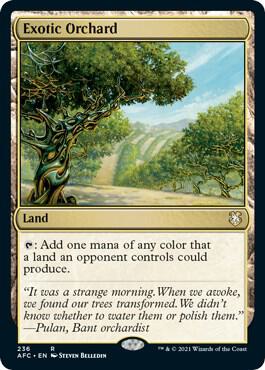 Exotic Orchard, AFC, 236, NM