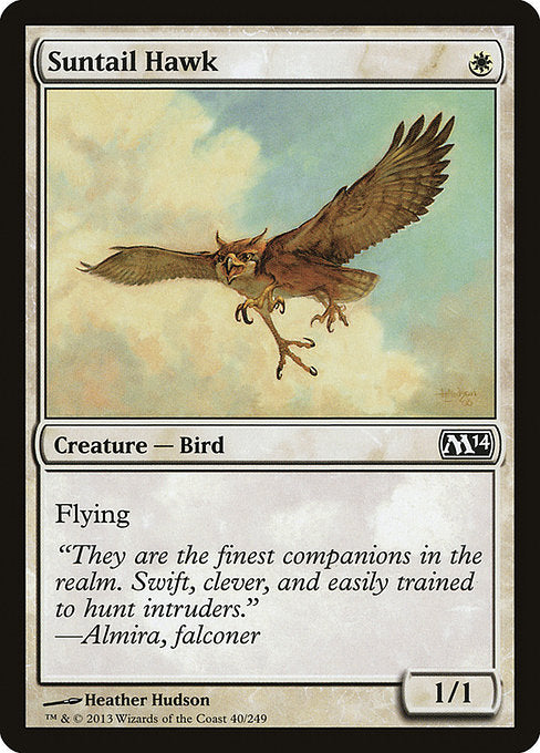 Suntail Hawk front