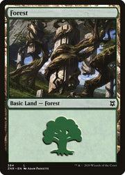 Forest front