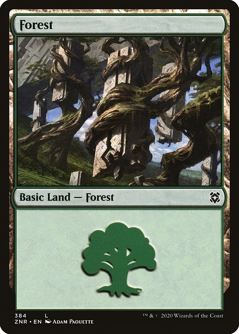Forest front
