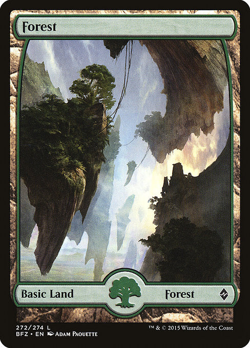 Forest front