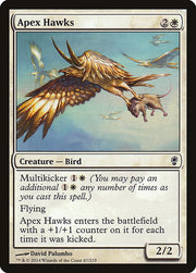 Apex Hawks front