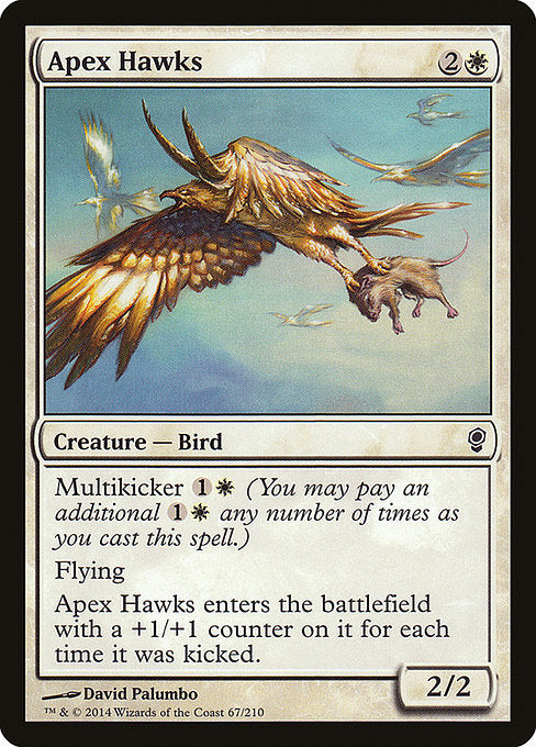 Apex Hawks front