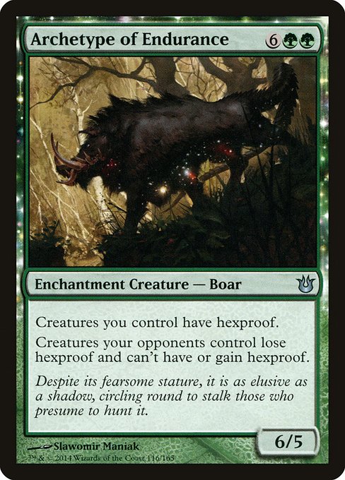 Archetype of Endurance front