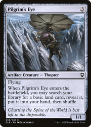 Pilgrim's Eye (CLB) 333
