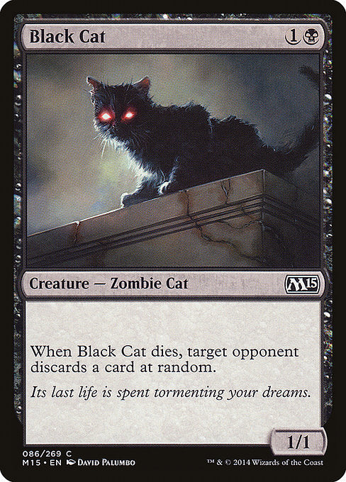 Black Cat front