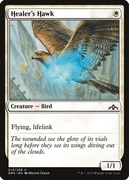 Healer's Hawk front