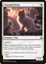 Charmed Stray (WAR) 8 - WZRD TCG