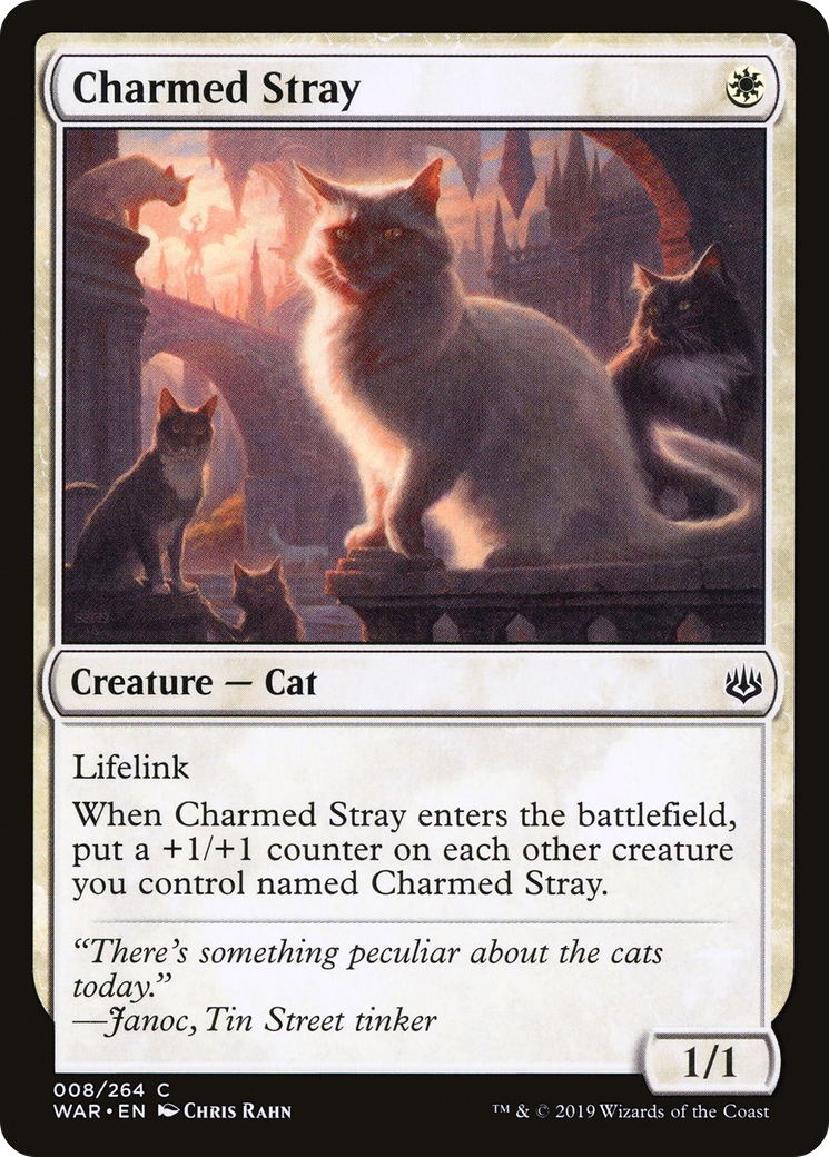 Charmed Stray (WAR) 8 - WZRD TCG