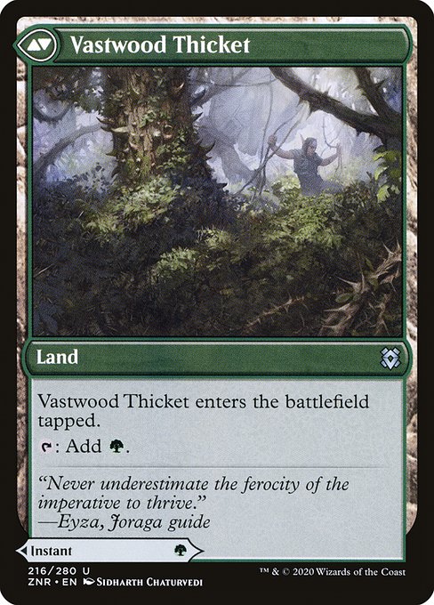 Vastwood Fortification // Vastwood Thicket (Back)