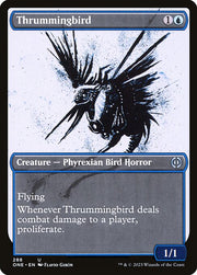 Thrummingbird front
