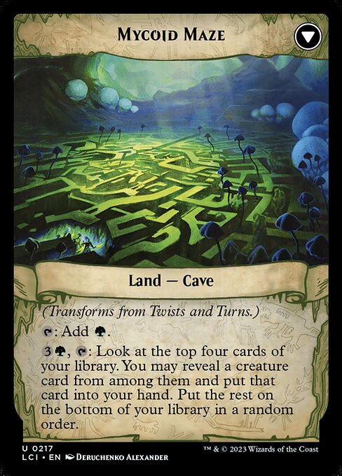 Twists and Turns // Mycoid Maze (Back)
