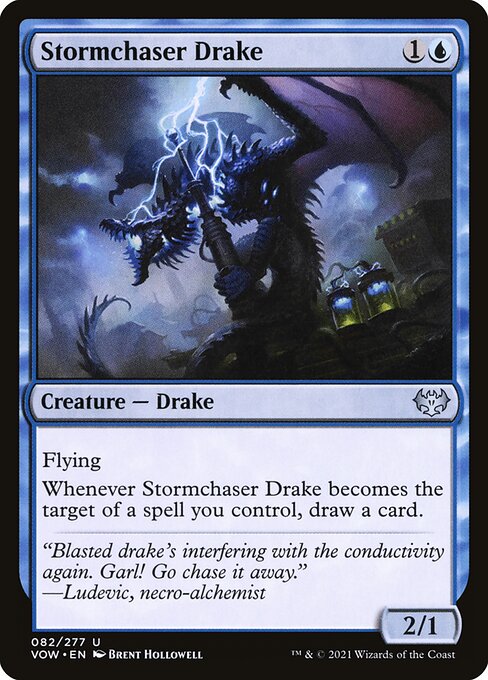Stormchaser Drake front