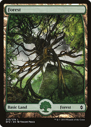 Forest front