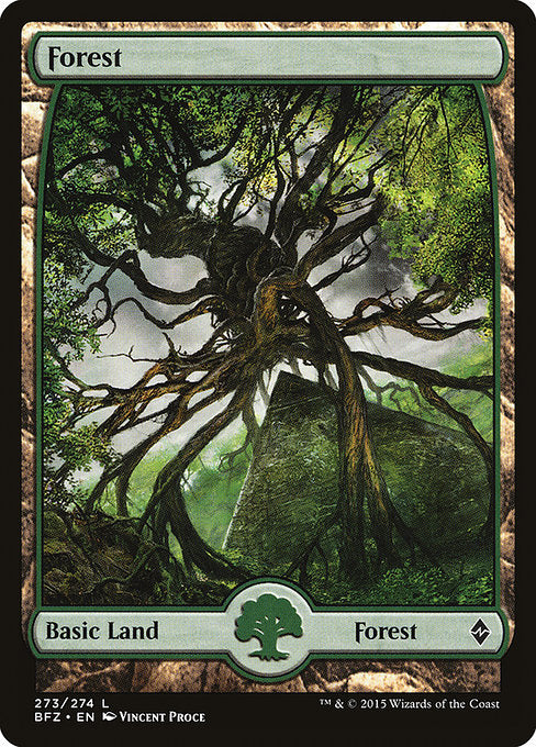 Forest front