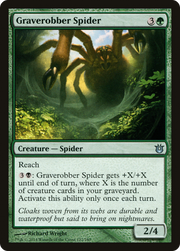 Graverobber Spider (BNG) 122