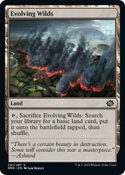 Evolving Wilds, BRO, 261, NM, Foil
