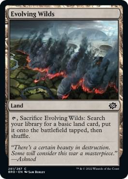 Evolving Wilds, BRO, 261, NM, Foil