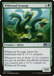 Wildwood Scourge front