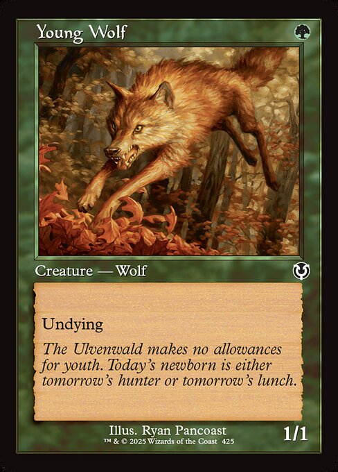 Young Wolf front